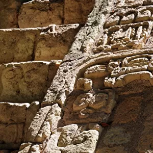 Ancient Mayan Glyphs, Hieroglyphic Stairway, Copan