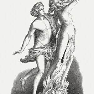 Apollo and Daphne, sculpted (1622 / 25) by Bernini, Rome, published 1879