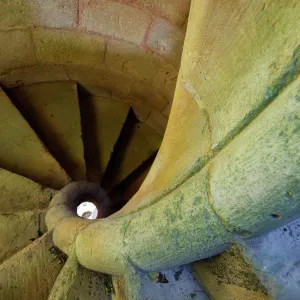 Fibonacci Escalera de caracol Print Fibonacci Escalera de caracol Print