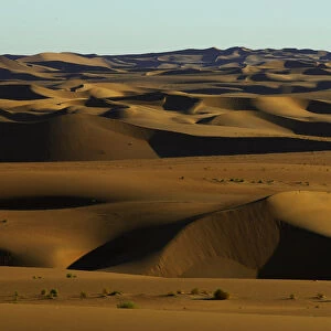 arid environment, day, desert, dunes, horizontal, landscape, namibia, nature, no people