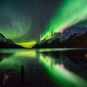aurora in the fjord