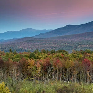 Autumn forest near White Mountains at sunset, New Hampshire, USA