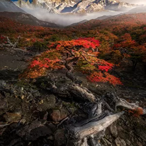 Travel Destinations Jigsaw Puzzle Collection: Patagonia