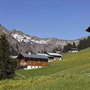 Baad with Mt. Hochstarzel, Kleinwalsertal valley, Vorarlberg, Austria, Europe