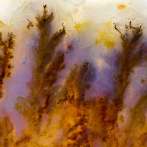 Backlighting on Graveyard Point Plume Agate, OR