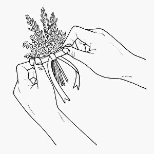 Black and white illustration of tying bouquet garni
