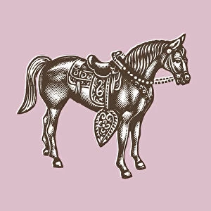 Brown Horse on Pink Background