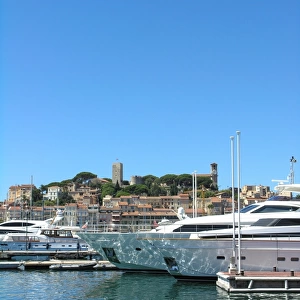 Cannes - yachts in the old port