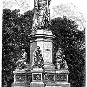 Carl Linnaeus monument in Stockholm, Sweden