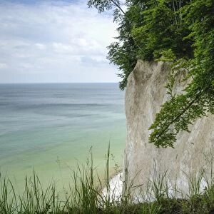 Chalk cliffs on the coast, Rugen island, Rugen, Mecklenburg-Western Pomerania, Germany