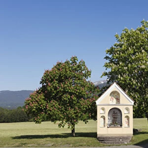 Chapel and flowering chestnut trees, horse chestnut -Aesculus hippocastanum-, Prankh, community of St. Marein near Knittelfeld, Upper Styria, Styria, Austria, Europe, PublicGround