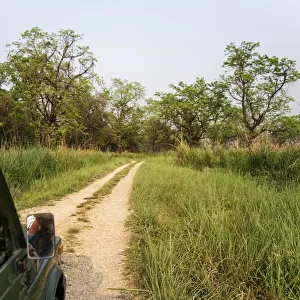 Chitwan National Park Safari