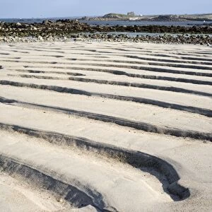 Coastal sand at low tide, channels formed by water, coast at Plouarzel, Departement Finistere, Brittany, France, Europe