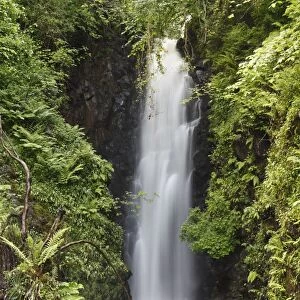 Cranny Falls near Carnlough, County Antrim, Northern Ireland, Great Britain, Europe, PublicGround