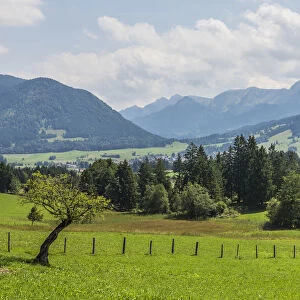 Cultural landscape at Buching, behind the Ammergau Alps, Halblech, Allgau, Bavaria, Germany