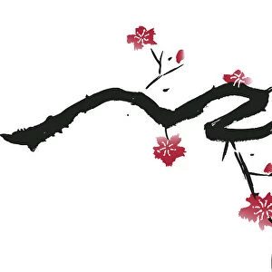 Delicate Cherry Blossom Illustration