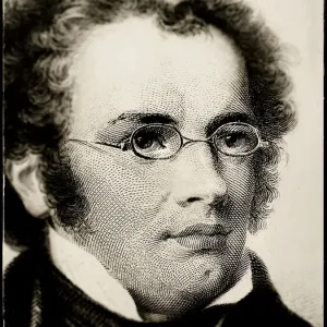Fine Art Storehouse Print of Franz Schubert Portrait Fine Art Storehouse Print of Franz Schubert Portrait