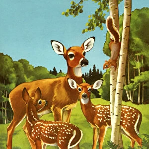 Doe and Two Fawn