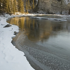 Elbow River In Winter