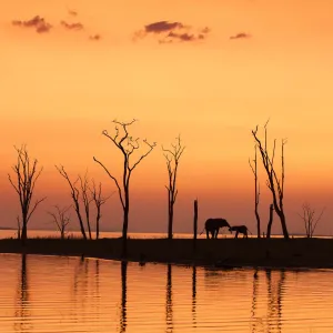 Lakes Poster Print Collection: Lake Kariba