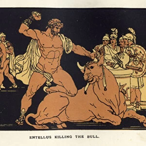 Entellus killing the bull