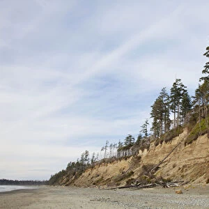 The Eroding Sand Cliffs At Florencia Bay In Pacific Rim National Park Near Tofino