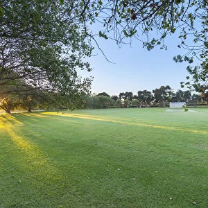 First light on cricket pitch. Constantia Uitsig. Constantia, Cape Town. RSA