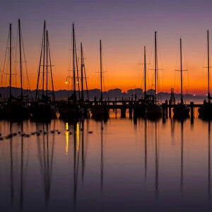 First light over Hastings Marina
