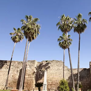 Fortified wall of the Alcazaba of Merida