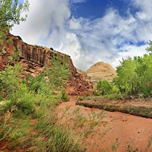 Fremont River coloured red from mud with green leafy trees after a storm, Capitol Reef National Park, Fruita, Utah, United States