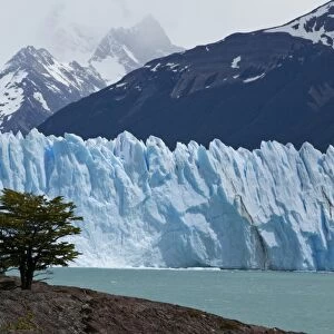 Glacial ice from the Perito Moreno Glacier at the lake of Lago Argentino, Santa Cruz region, Patagonia, Argentina, South America, America