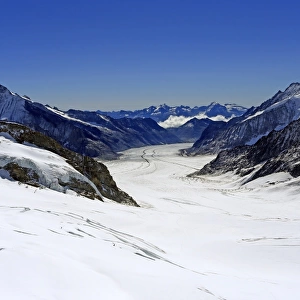 Great Aletsch Glacier, Bernese Alps