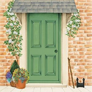 Green front door with climbers around frame, and potted plants