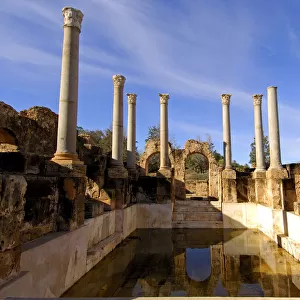 Hadrianic Baths, Leptis Magna, Roman Ruins, Libya
