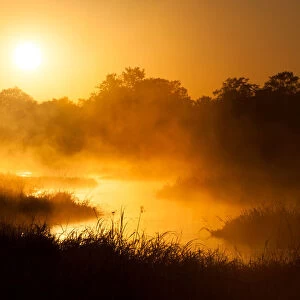 A horizontal, moody, colour image of a winding river with early morning golden light glowing through the mist rising off it and trees and grasses silhouetted along its edge at Machaba, Botswana