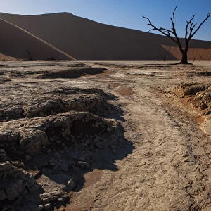 Hot desert sun rises over the iconic dead tree landscape of Deadvlei in the Namib-Naukluft National Park, Namibia