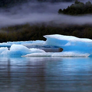 Icebergs having broken away from the Mendenhall glacier are floating toward the sea, Juneau, Alaska, United States of America