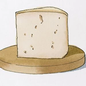 Illustration of Bergama Tulum cheese from Turkey