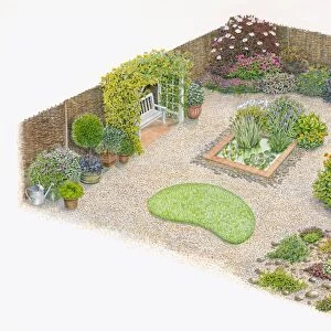 Illustration of domestic garden with colourful herb and flowerbeds, water garden, pot plants and pat