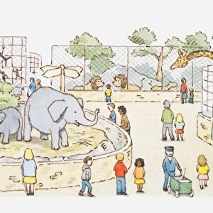 Illustration of a scene in a zoo
