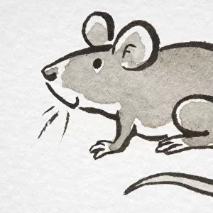 Illustration, smiling House Mouse (Mus musculus), side view