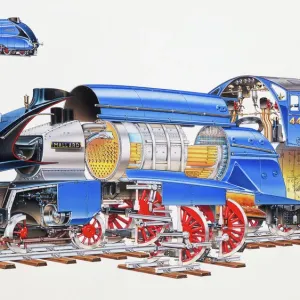 Mallard Steam Engine Expanded Cross-Section Colour Print Mallard Steam Engine Expanded Cross-Section Colour Print