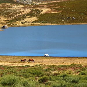 Laguna de los Peces in Sanabria Natural Park
