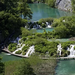 Lake with boardwalk, Plitvice Lakes National Park, UNESCO World Heritage Site, Croatia, Europe