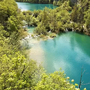 Lakes of Plitvice, UNESCO World Heritage Site, Plitvice Lakes National Park, Croatia
