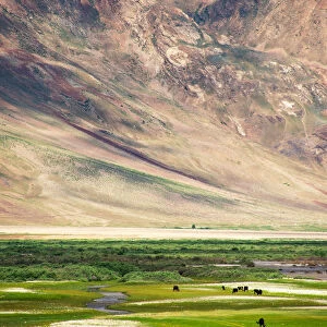Landscape of Zanskar Valley