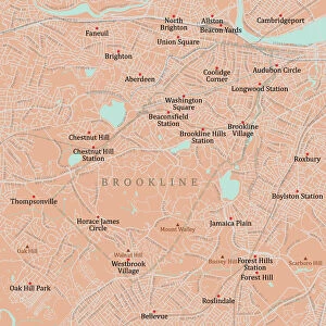 MA Norfolk Brookline Vector Road Map