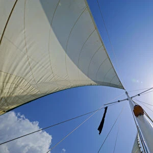 Mast of a sailing ship, Dominican Republic, the Caribbean