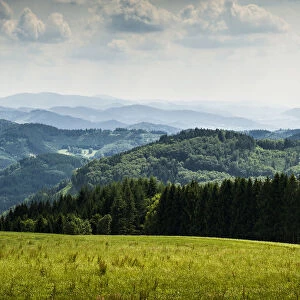 Meadow and wooded hills, at Freiamt, Black Forest, Baden-Wurttemberg, Germany