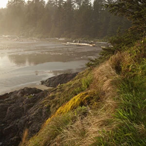 Mist And Fog Form Over The Beach At Incinerator Rock Area Of Long Beach In Pacific Rim National Park Near Tofino; British Columbia Canada